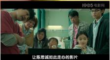 杨晨晨剧情